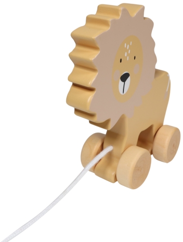 Tryco wooden lion