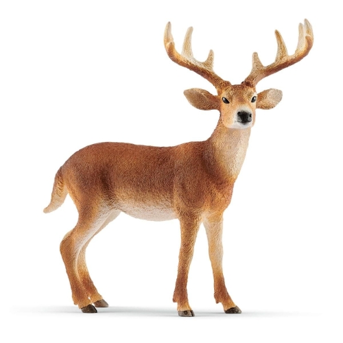 Schleich 14818 White-tailed deer