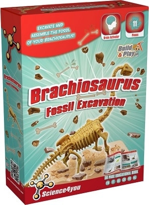 Science4you Brachiosaurus Excavation
