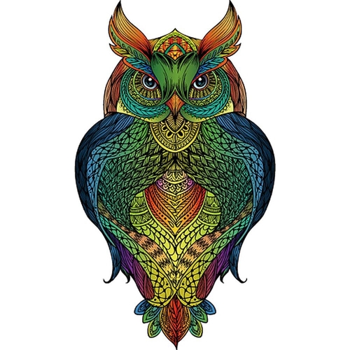 Eureka Rainbow Wooden Puzzle Owl