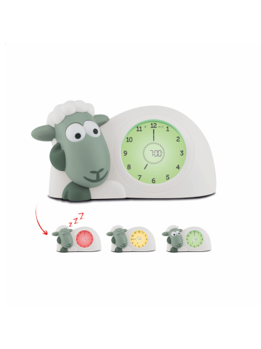 Zazu Sleep Trainer Sam Green