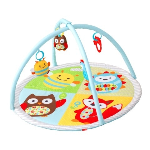 Skip hop top funscape activity gym