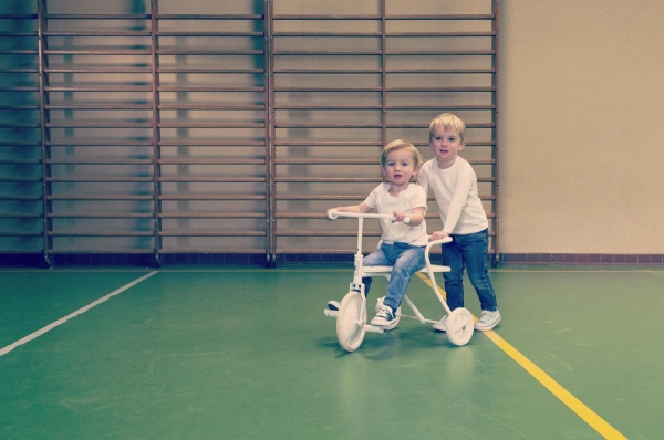 Foxrider tricycle on sale